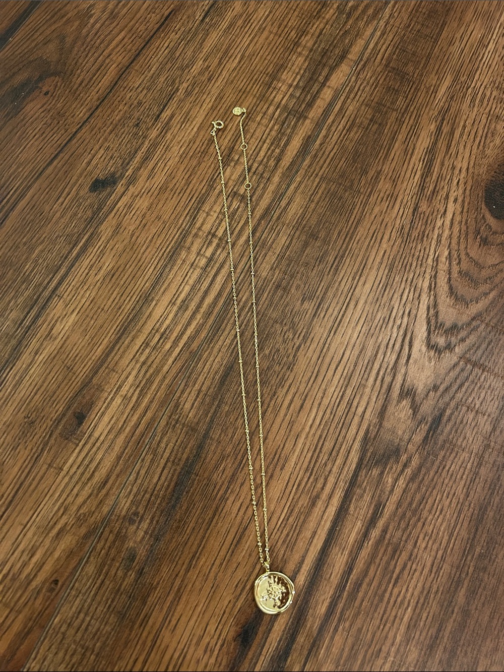 Gorjana Gold Coin Pendant Necklace for Women - Timeless Everyday Layering